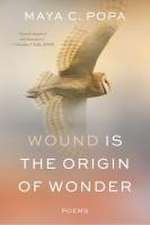 Wound Is the Origin of Wonder – Poems