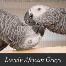 Lovely African Greys (Wall Calendar 2018 300 × 300 mm Square)