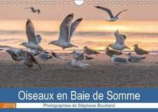 Oiseaux en Baie de Somme (Calendrier mural 2018 DIN A4 horizontal)