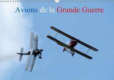 Avions de la Grande Guerre (Calendrier mural 2018 DIN A3 horizontal)