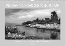 Provence Monochrome (Wall Calendar 2020 DIN A3 Landscape)