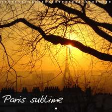 Paris sublime (Calendrier mural 2020 300 × 300 mm Square)