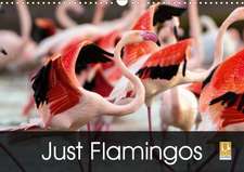 Just Flamingos (Wall Calendar 2020 DIN A3 Landscape)