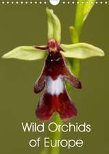 Wild Orchids of Europe (Wall Calendar 2020 DIN A4 Portrait)