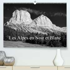 Les Alpes en Noir et Blanc(Premium, hochwertiger DIN A2 Wandkalender 2020, Kunstdruck in Hochglanz)