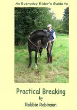 An Everyday Rider's Guide to Practical Breaking