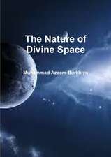 The Nature of Divine Space