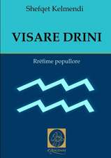 Visare Drini