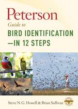 Peterson Guide To Bird Identification—in 12 Steps