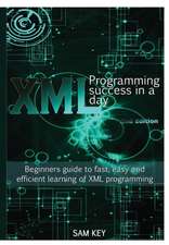 XML Programming Success in a Day