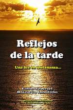 Reflejos de la tarde