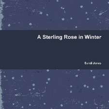 A Sterling Rose in Winter