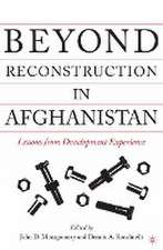 Beyond Reconstruction in Afghanistan: Lessons from Development Experience