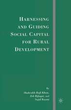 Harnessing and Guiding Social Capital for Rural Development