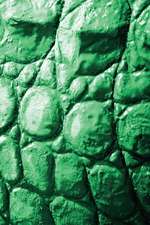 Alive! Crocodile Skin - Emerald Duotone - Photo Art Notebooks (6 X 9 Series)