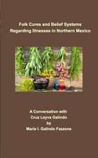 Folk Cures and Belief Systems Regarding Illnesses in Northern Mexico