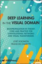 Deep Learning in the Visual Domain