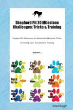 Shepherd Pit 20 Milestone Challenges