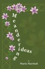 Meandering Ideas