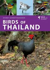 Birds of Thailand