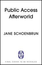 Public Access Afterworld