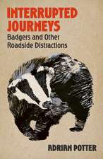 Interrupted Journeys: Badgers and Other Roadside Distractions