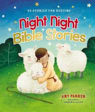 Night Night Bible Stories: 30 Stories for Bedtime