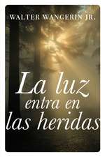 La luz entra en las heridas: Historias sobre la gracia divina de Dios