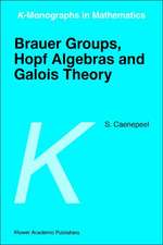 Brauer Groups, Hopf Algebras and Galois Theory