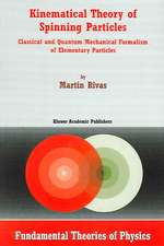 Kinematical Theory of Spinning Particles: Classical and Quantum Mechanical Formalism of Elementary Particles