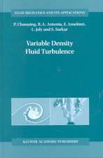 Variable Density Fluid Turbulence