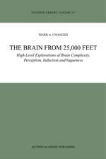 The Brain from 25,000 Feet: High Level Explorations of Brain Complexity, Perception, Induction and Vagueness