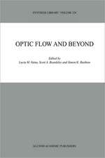 Optic Flow and Beyond