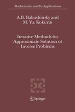 Iterative Methods for Approximate Solution of Inverse Problems