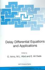 Delay Differential Equations and Applications: Proceedings of the NATO Advanced Study Institute held in Marrakech, Morocco, 9-21 September 2002