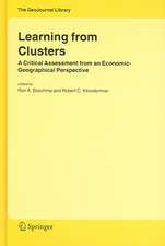 Learning from Clusters: A Critical Assessment from an Economic-Geographical Perspective