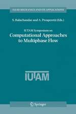 IUTAM Symposium on Computational Approaches to Multiphase Flow: Proceedings of an IUTAM Symposium held at Argonne National Laboratory, October 4-7, 2004