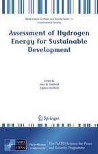 Assessment of Hydrogen Energy for Sustainable Development