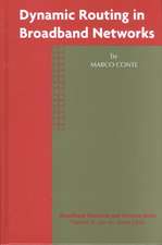 Dynamic Routing in Broadband Networks