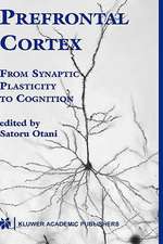 Prefrontal Cortex: From Synaptic Plasticity to Cognition