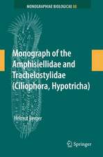 Monograph of the Amphisiellidae and Trachelostylidae (Ciliophora, Hypotricha)