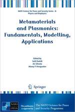 Metamaterials and Plasmonics: Fundamentals, Modelling, Applications