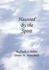 Haunted by the Spirit