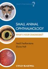 Small Animal Ophthalmology – What′s Your Diagnosis?