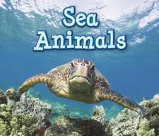 Sea Animals