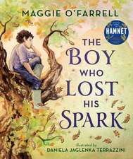 The Boy Who Lost His Spark