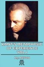 Kant's Metaphysic of Experience - Vol I