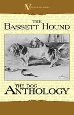 The Basset Hound