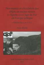 Provenance et circulation des objets en roches noires ( lignite ) à l'âge du Fer en Europe celtique