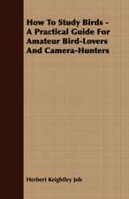 How to Study Birds - A Practical Guide for Amateur Bird-Lovers and Camera-Hunters